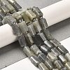 Natural Labradorite Beads Strands G-N327-06-06-2