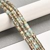 Natural Aqua Terra Jasper Beads Strands G-F765-F03-01-2