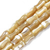 Natural Trochid Shell/Trochus Shell Beads Strands SSHEL-N034-122-A01-1