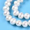 Natural Cultured Freshwater Pearl Beads Strands PEAR-N016-05B-4