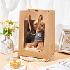 Paper Visible Window Gift Bags with Rope Handles ABAG-WH0040-14B-5