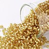 TOHO Round Seed Beads X-SEED-TR11-0022BF-1