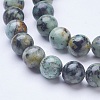 Dyed & Natural African Turquoise(Jasper) Beads Strands G-D855-06-8mm-3