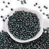 Glass Seed Beads SEED-A032-06T-2