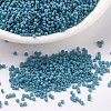 MIYUKI Delica Beads X-SEED-J020-DB0798-1
