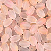 Frosted Glass Seed Beads SEED-N008-05A-3