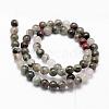 Natural African Bloodstone Beads Strands G-D840-66-10mm-2