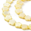 Natural Freshwater Shell Dyed Beads Strands SHEL-K001-001C-3