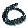 Natural Agate Beads Strands G-B079-E01-01G-3