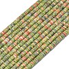 Natural Unakite Beads Strands G-P575-B25-4x1mm-2