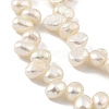 Natural Cultured Freshwater Pearl Beads Strands PEAR-A006-15-4