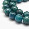 Natural Apatite Beads Strands G-F475-06-10mm-3