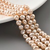 Natural Cultured Freshwater Pearl Beads Strands PEAR-A006-05-2