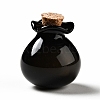 Lucky Bag Shape Glass Cork Bottles Ornament AJEW-A039-02I-1