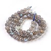 Natural Labradorite Beads Strands G-O176-04B-2