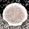 6/0 Transparent Inside Colours Glass Seed Beads SEED-N006-003A-2