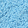 Baking Paint Glass Seed Beads SEED-P006-03A-26-3