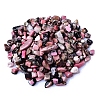 Natural Rhodonite Tumbled Chips PW-WGA7DCE-27-1