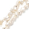 Electroplated Shell Pearl Beads Strands BSHE-C009-01A-1