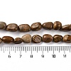 Natural Picture Jasper Beads Strands G-G146-A01-01-5