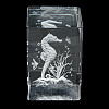 3D Laser Engraving Animal Glass Figurine LS-DJEW-R013-01C-3