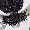 MIYUKI Delica Beads SEED-MY11-DB0004-1
