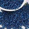 MIYUKI Round Rocailles Beads SEED-JP0009-RR0648-1
