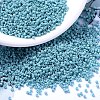 MIYUKI Delica Beads LS-X-SEED-J020-DB0375-1