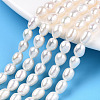 Natural Cultured Freshwater Pearl Beads Strands PEAR-N012-05U-1