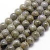 Natural Labradorite Bead Strands G-G735-29-8mm-1