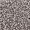 MIYUKI Delica Beads Small X-SEED-J020-DBS0338-3