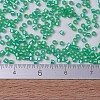 MIYUKI Delica Beads SEED-J020-DB0691-4