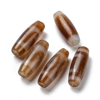 Tibetan Style dZi Beads TDZI-D009-01J-13-1