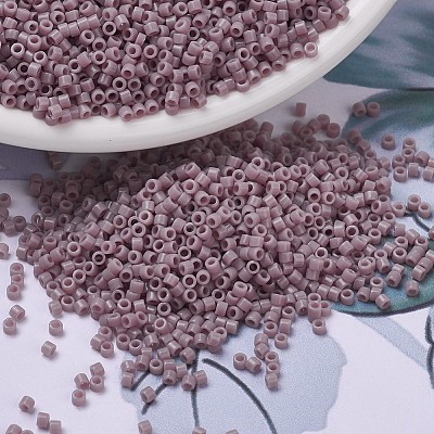 MIYUKI Delica Beads Small X-SEED-J020-DBS0728-1