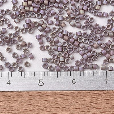 MIYUKI Delica Beads SEED-X0054-DB2321-1