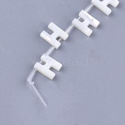 Natural Sea Shell Beads SHEL-T012-60H-1