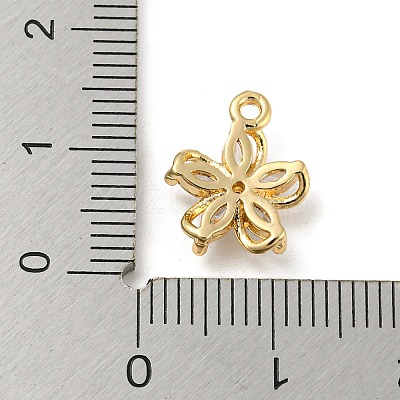 Brass with Clear Cubic Zirconia Charms KK-G478-02C-KCG-1