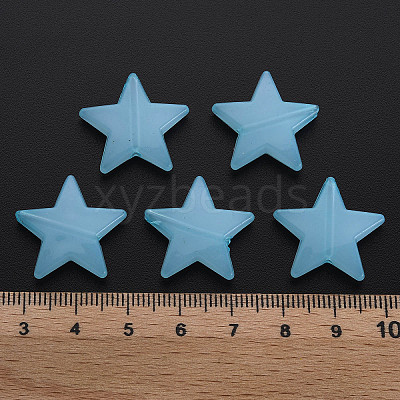 Imitation Jelly Acrylic Beads LS-MACR-S373-90-E08-1