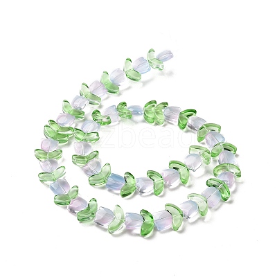 Transparent Glass Beads Strands LAMP-H061-02F-1