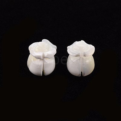 Natural Trochid Shell/Trochus Shell Beads SSHEL-T014-32-1