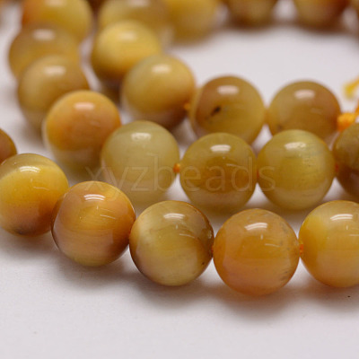 Natural Tiger Eye Bead Strands G-P230-08-E-12mm-1