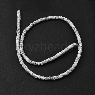 Dyed Synthetic Turquoise Beads Strands G-Z089-A04-A-1