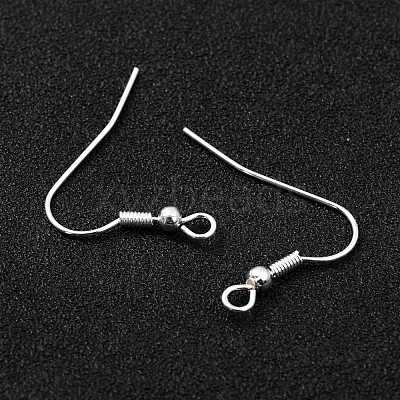 304 Stainless Steel Earring Hooks STAS-L258-001B-S-1