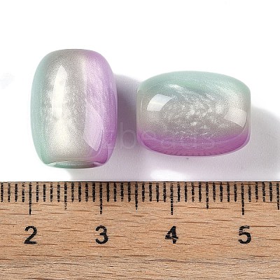 Triple Color Resin European Beads RESI-F055-13G-1