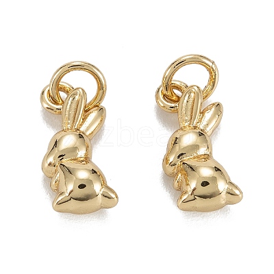 Brass Charms KK-C223-14G-1