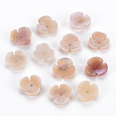 Natural Pink Shell Beads SSHEL-N034-119A-01-1