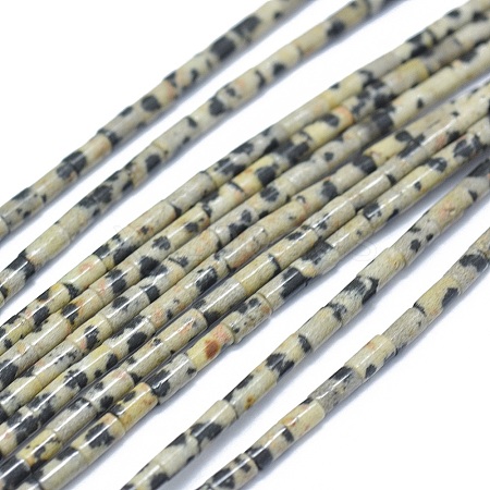 Natural Dalmatian Jasper Beads Strands G-F631-B07-1