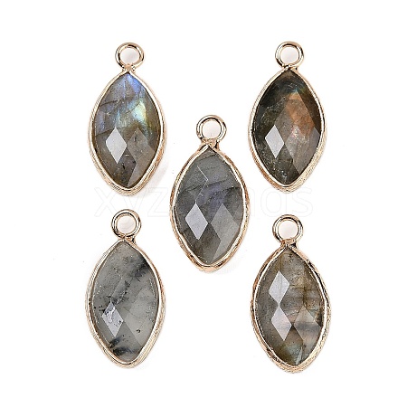 Natural Labradorite Faceted Pendants G-G193-01G-10-1