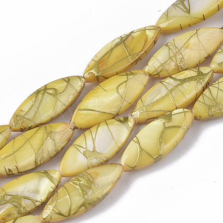 Drawbench Freshwater Shell Beads Strands SHEL-T014-008B-05-1