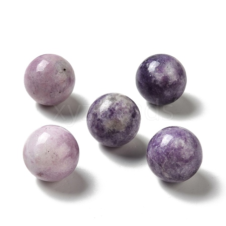 Natural Lepidolite/Purple Mica Stone Beads G-A206-02-09-1